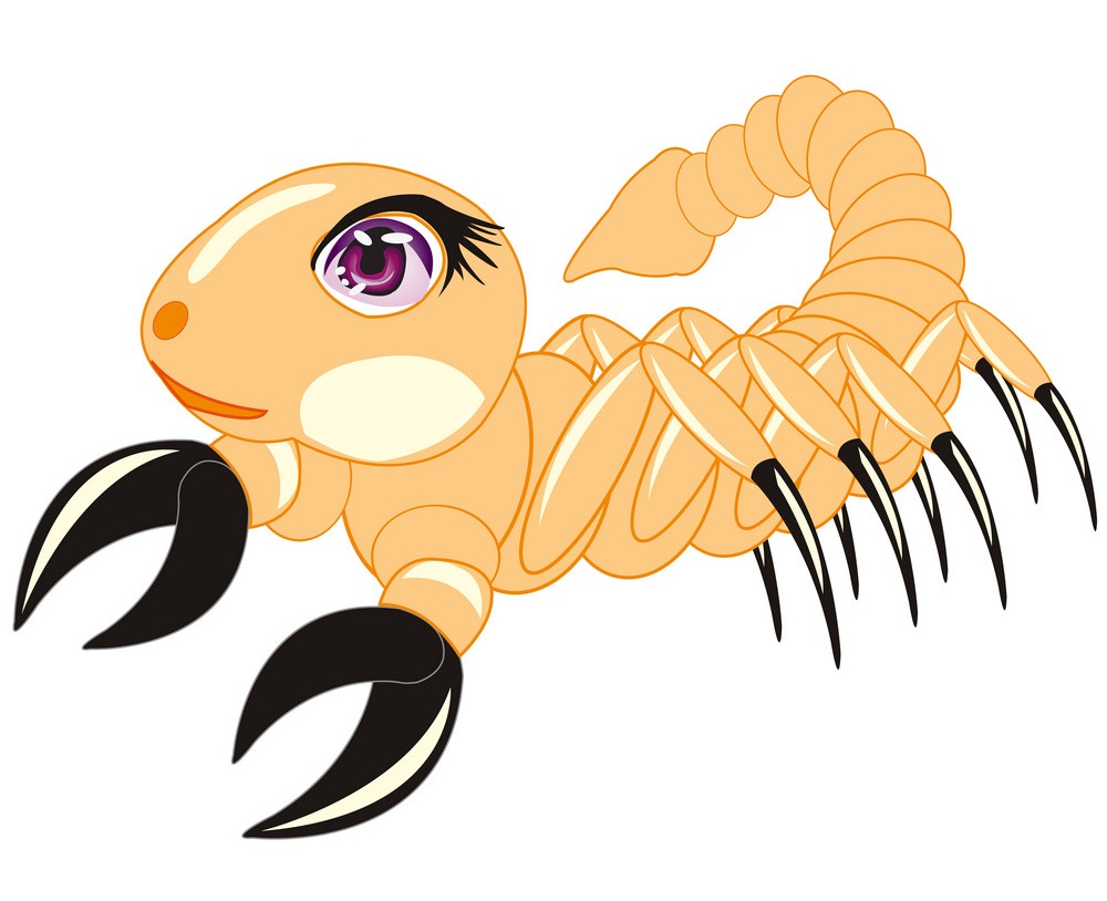 adorable scorpion