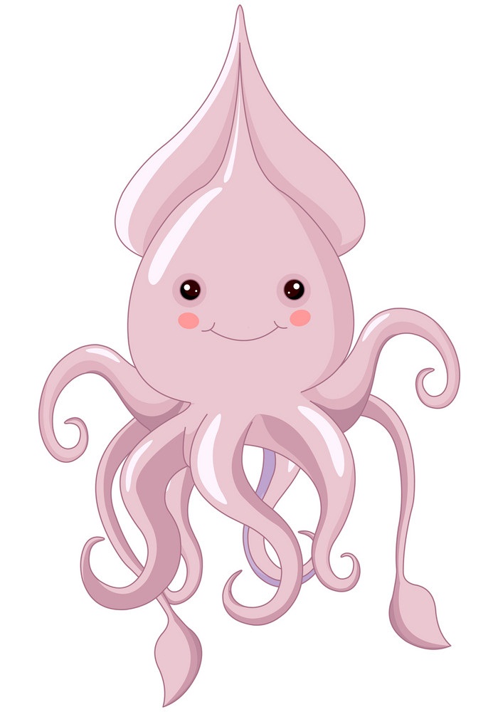 adorable squid