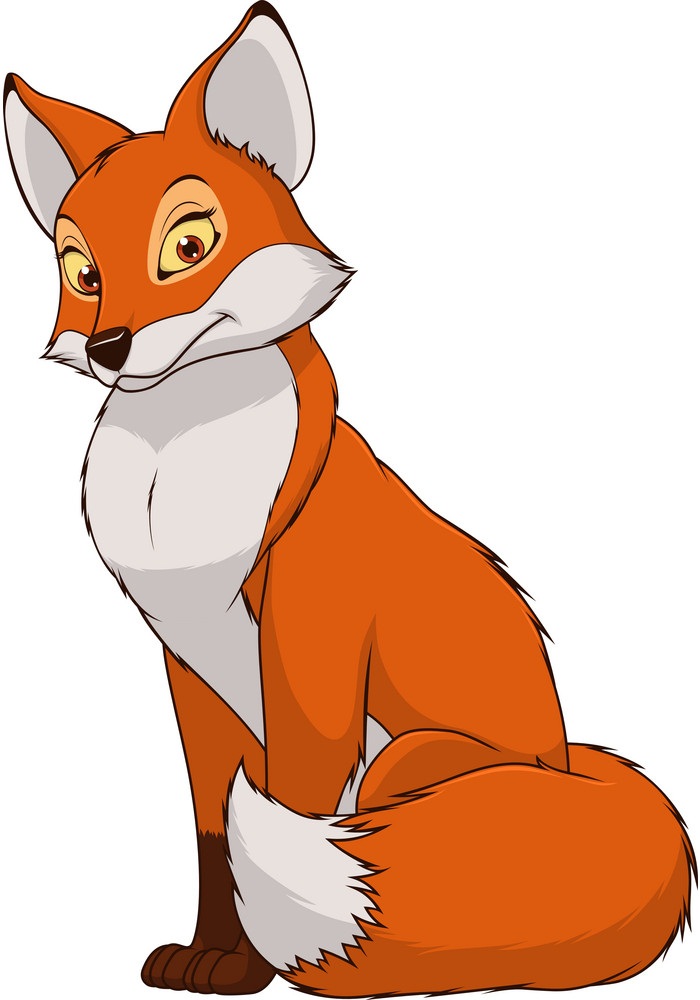 adult fox