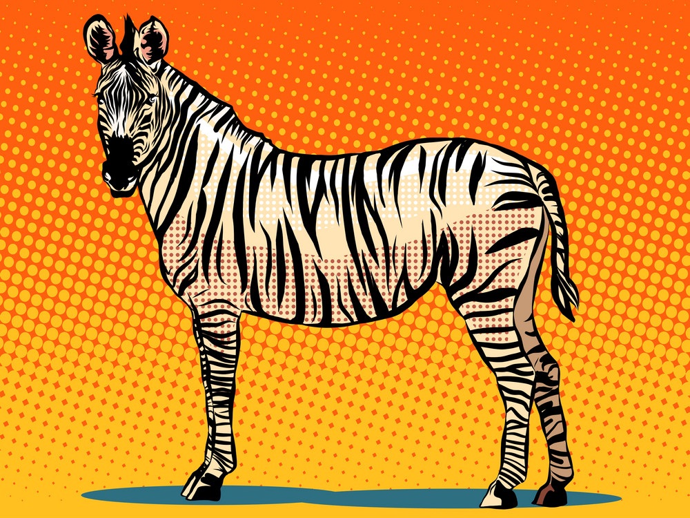 african zebra 1