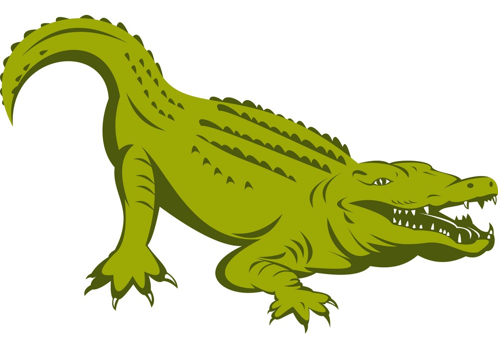 alligator design