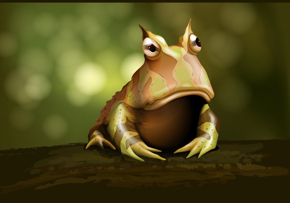 amazon horned frog