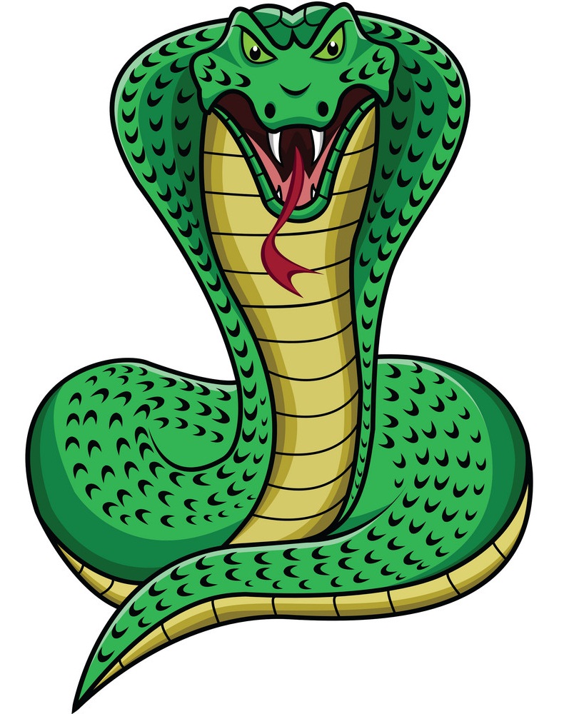 angry cobra snake