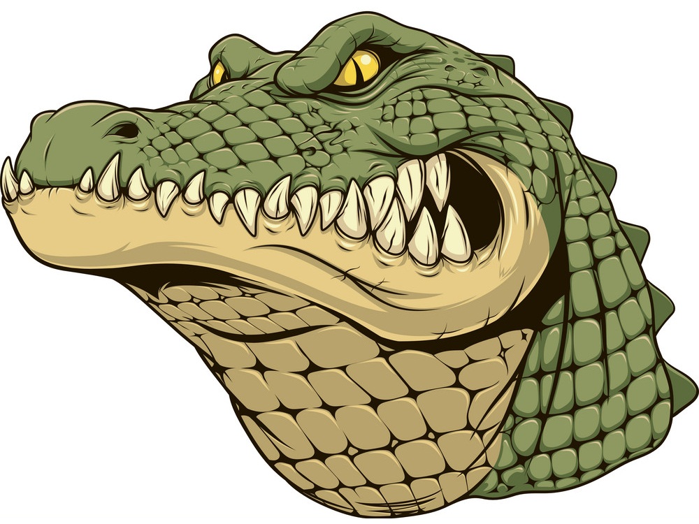 angry crocodile head