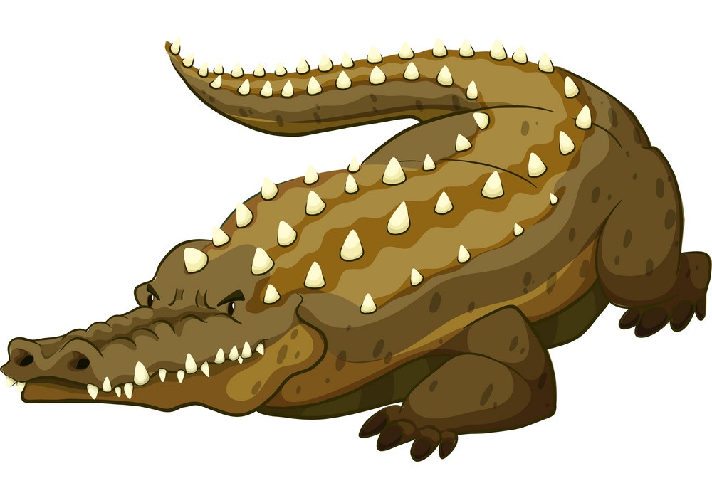 angry crocodile