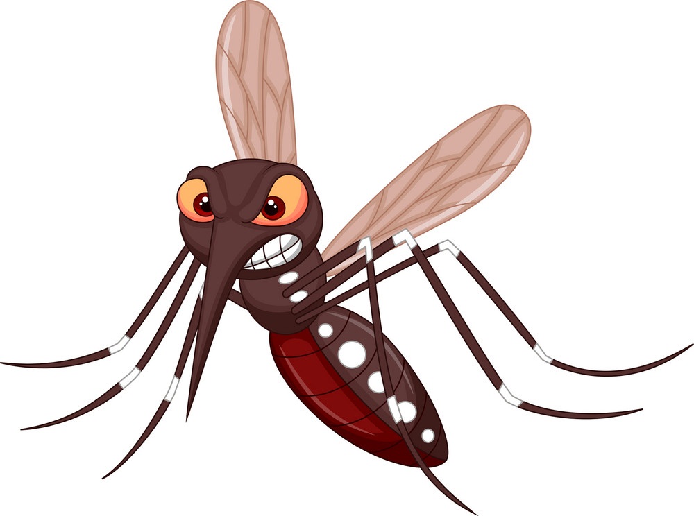 angry mosquito 1