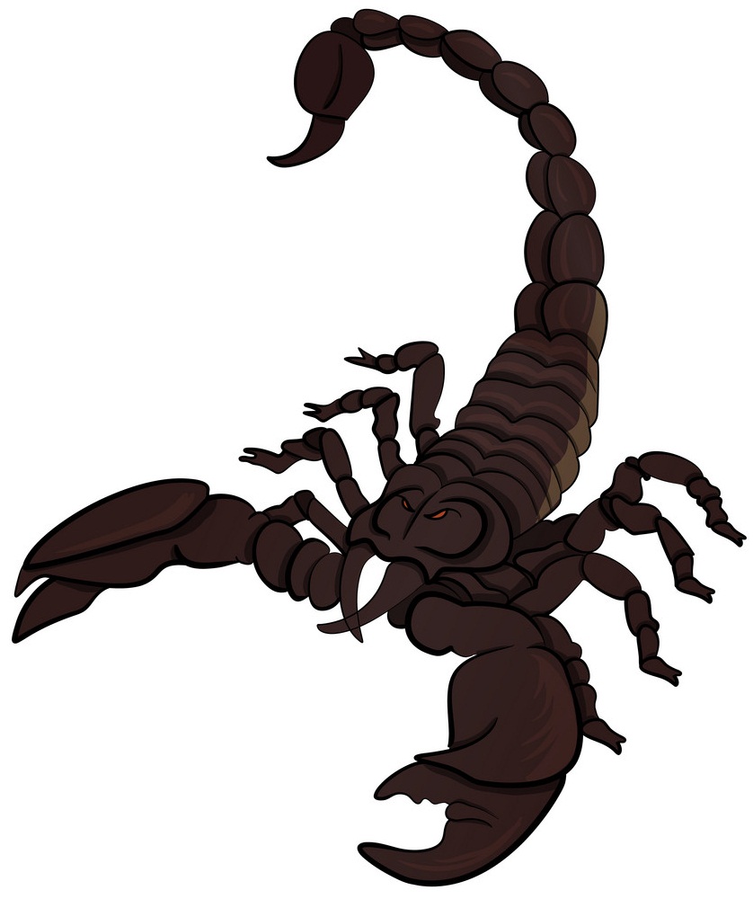 angry scorpion