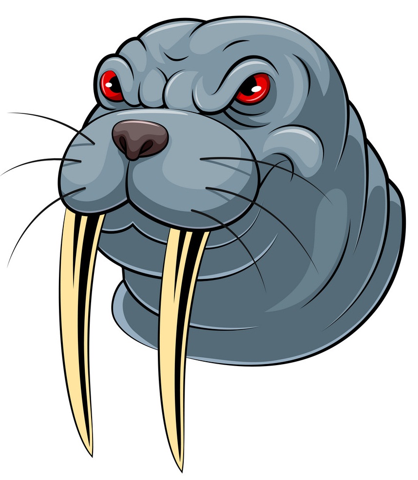 angry walrus head