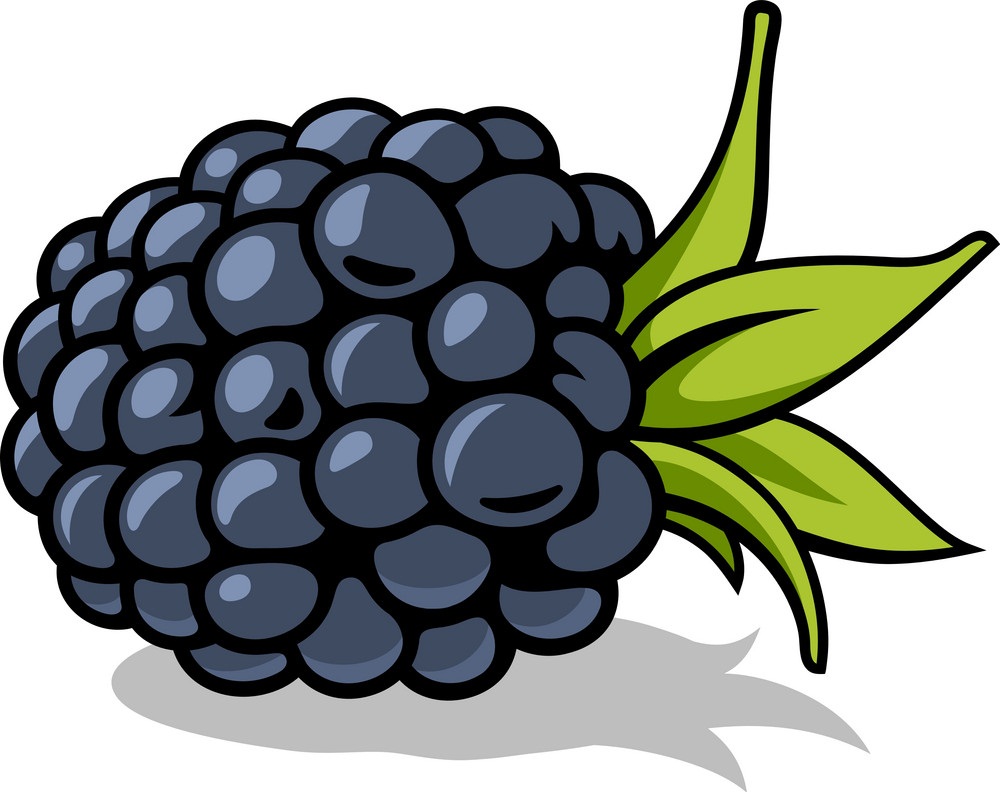 animated blackberry