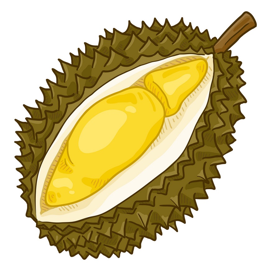 animated durian fruit