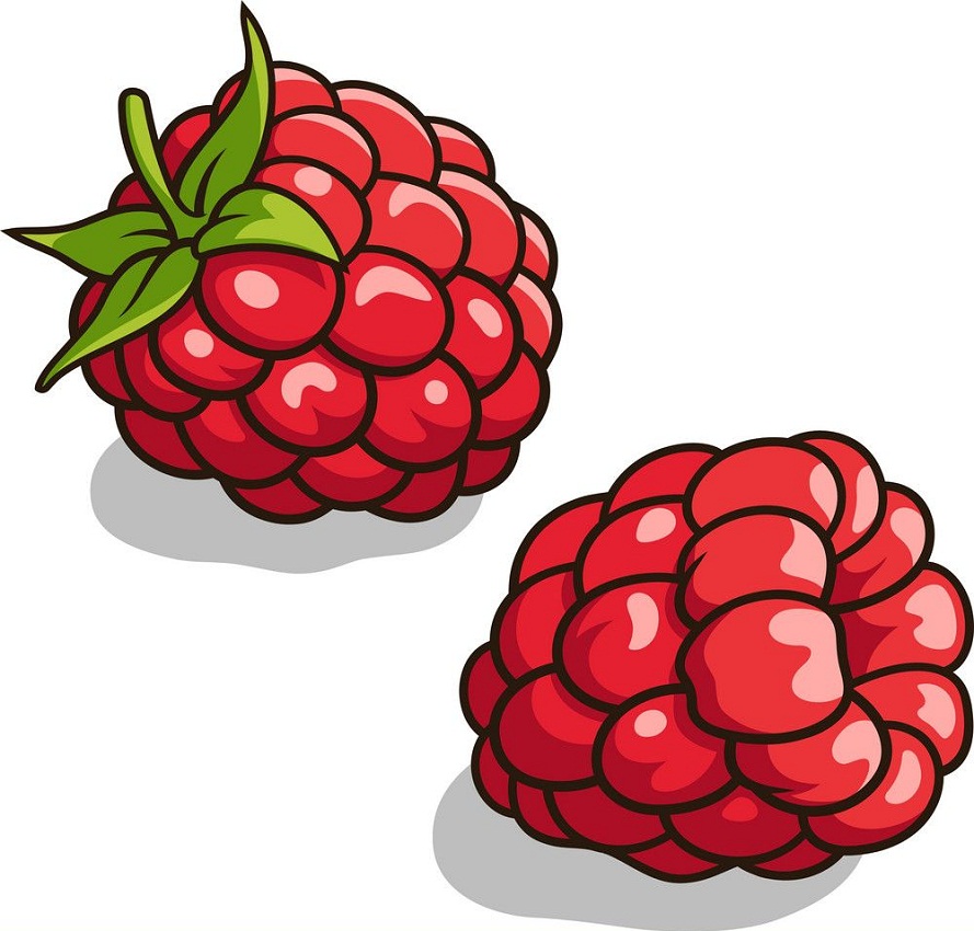 animated fresh raspberries