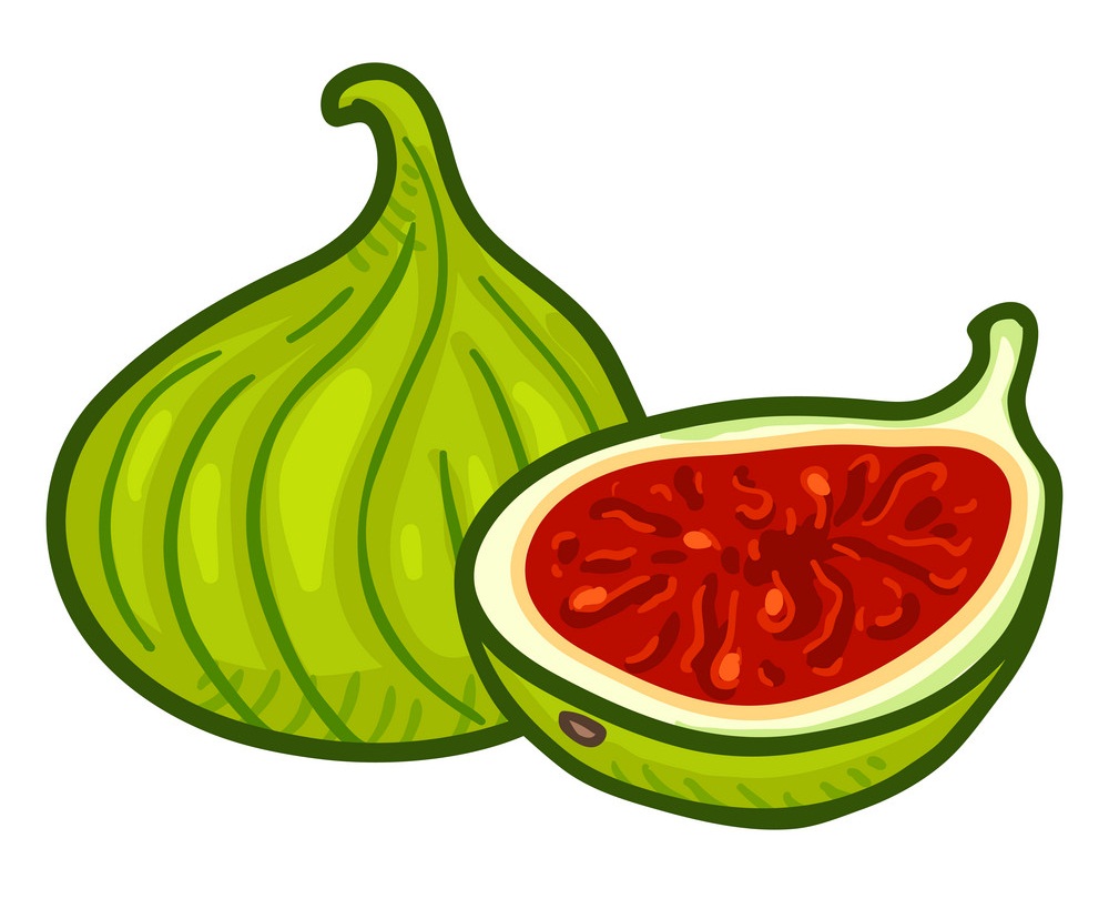 animated green fig fruit