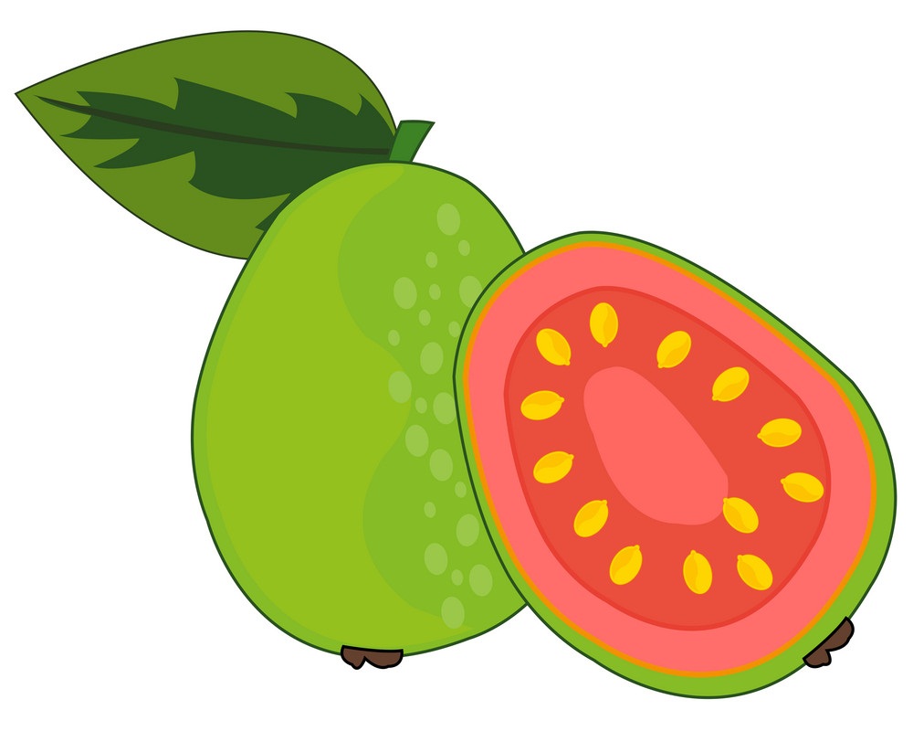 animated guava fruit