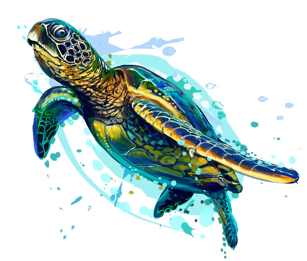 artistic sea turtle