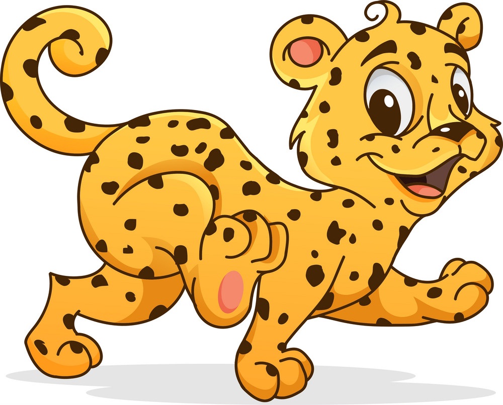 baby cheetah walking