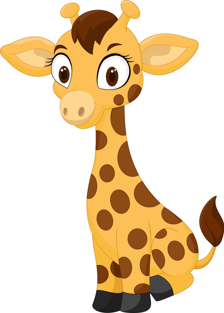 baby giraffe standing