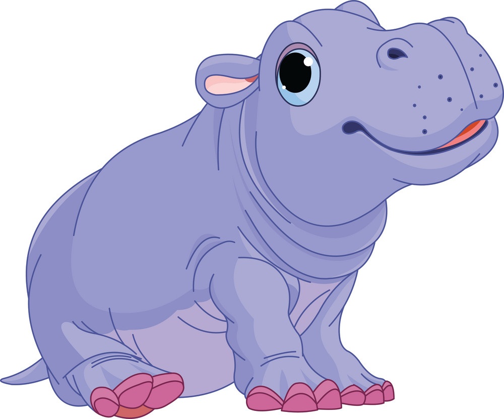 baby hippo sitting