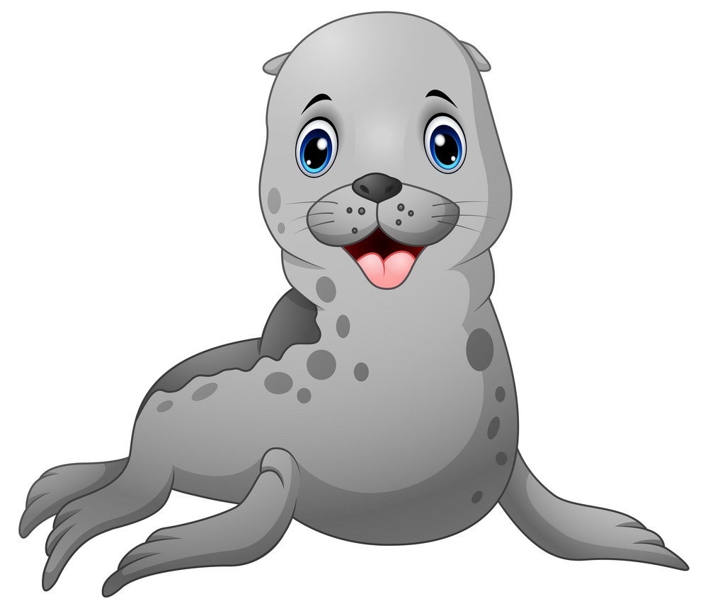 baby seal smiling