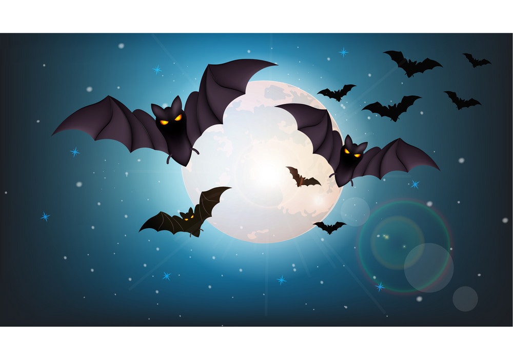 bats flying at night