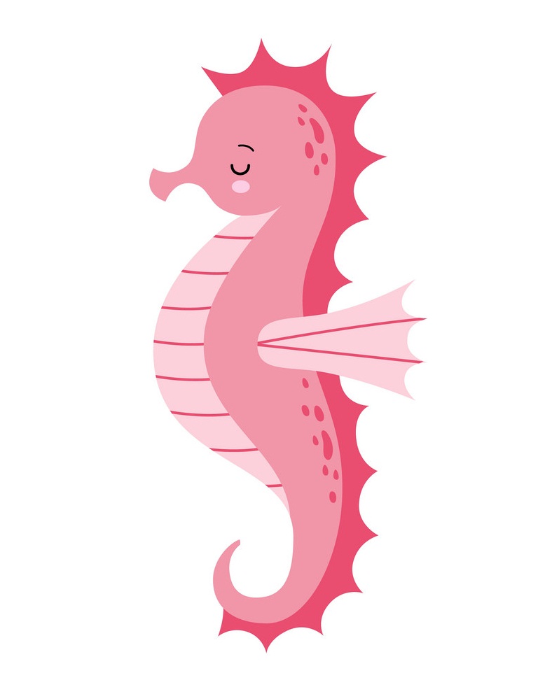 beautiful pink seahorse