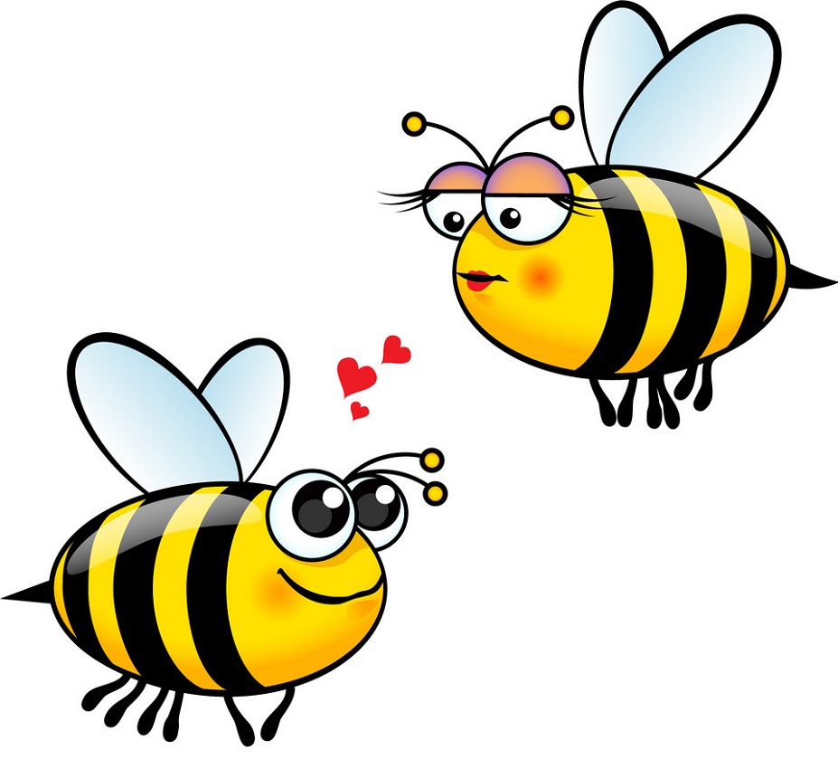 bee fall in love