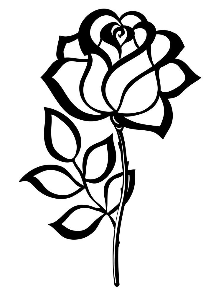 black rose outline 1