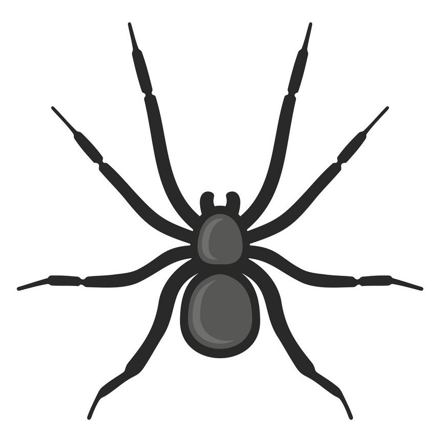 black spider icon