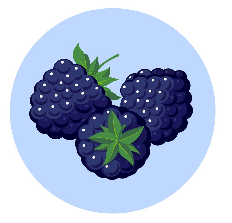 blackberries logo