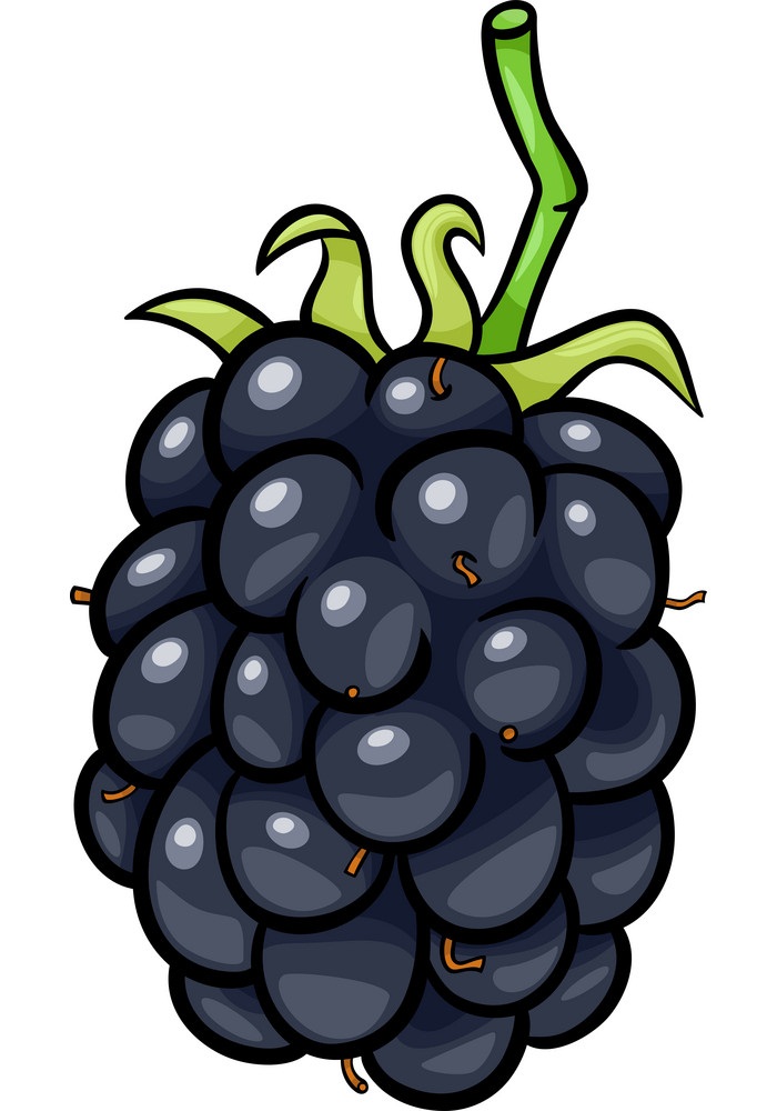 blackberry 1