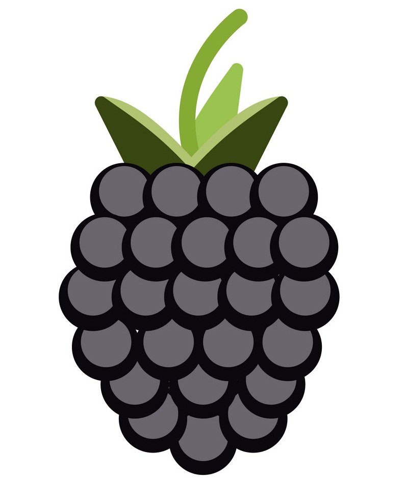blackberry flat icon
