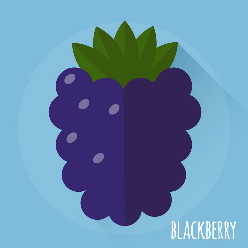 blackberry icon on blue background