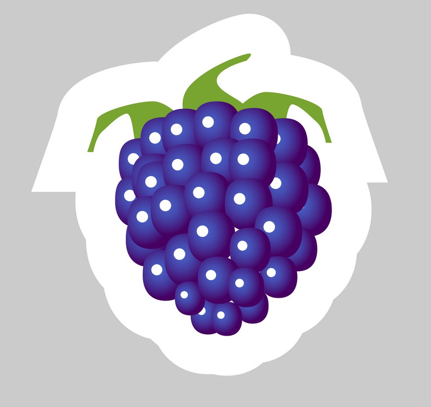 blackberry sticker