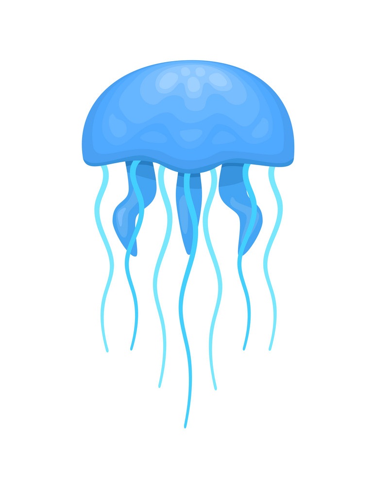 blue an cyan jellyfish