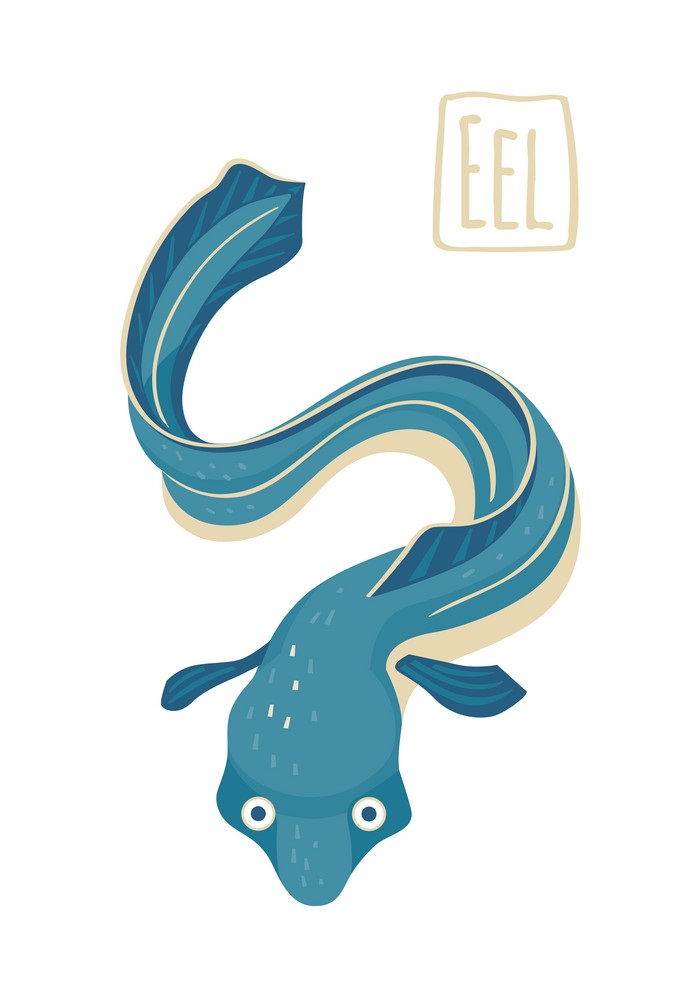 blue eel