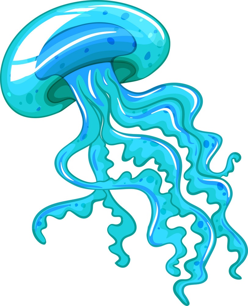 blue jellyfish