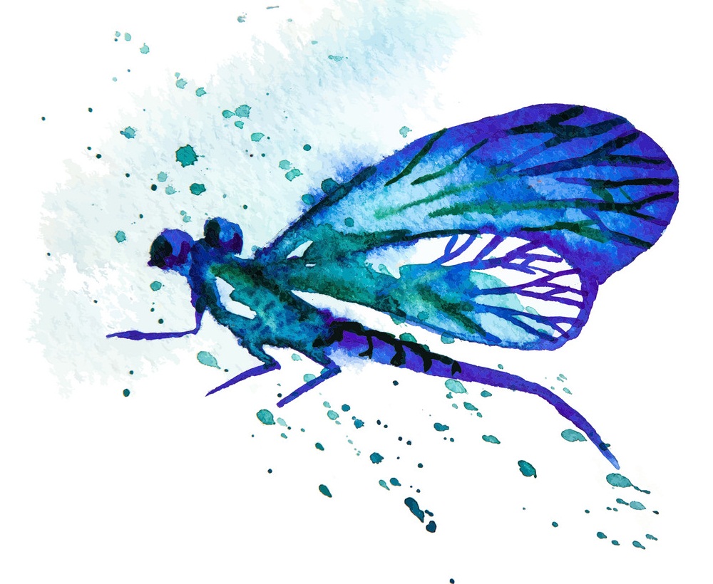 blue watercolor dragonfly