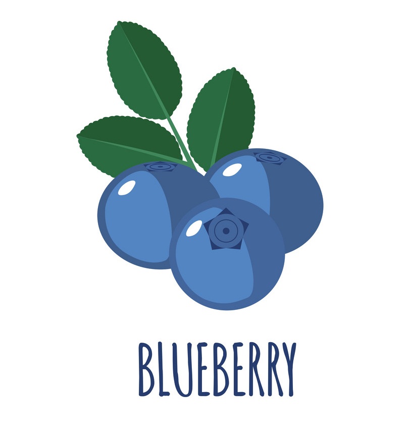 blueberries 1