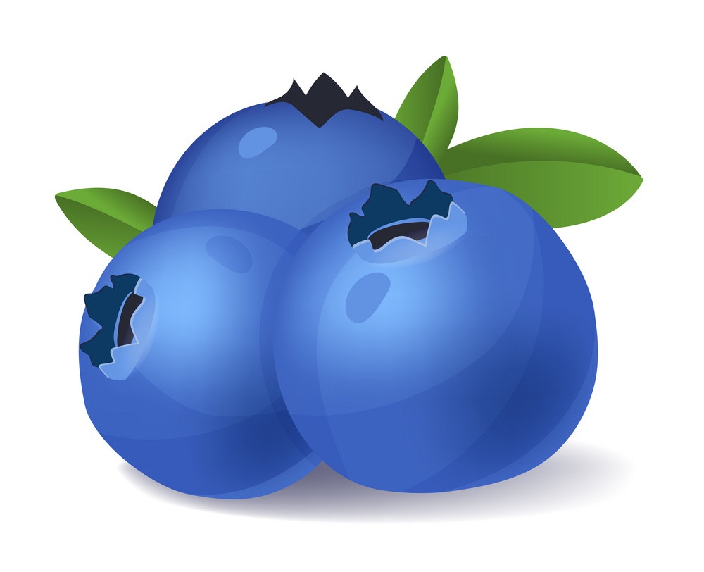 blueberries fruit 1