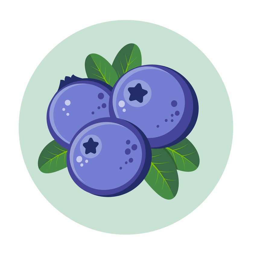 blueberry logo