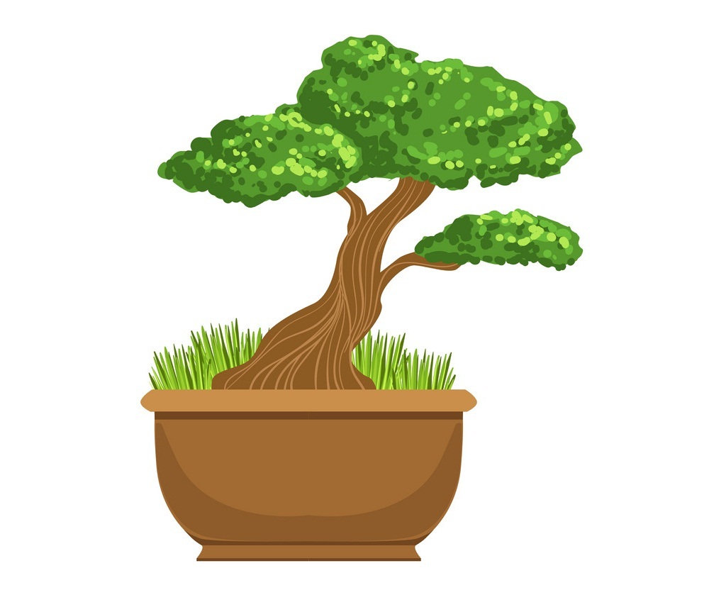 bonsai japanese culture