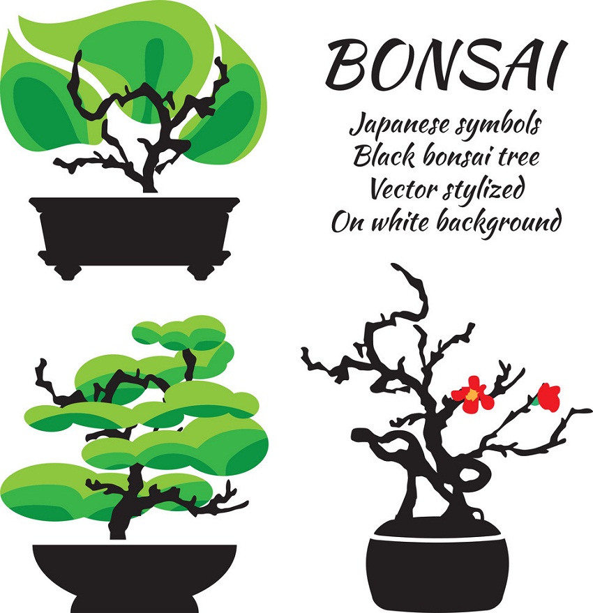 bonsai set