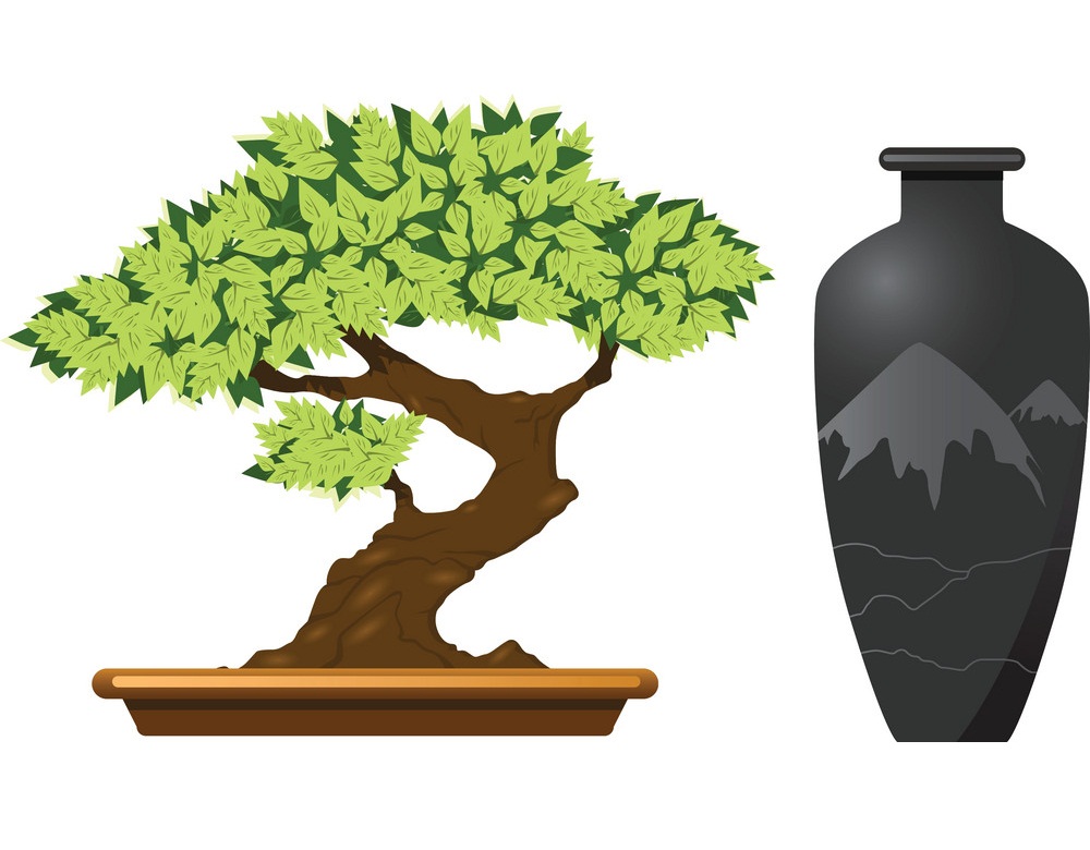bonsai tree and antique vase