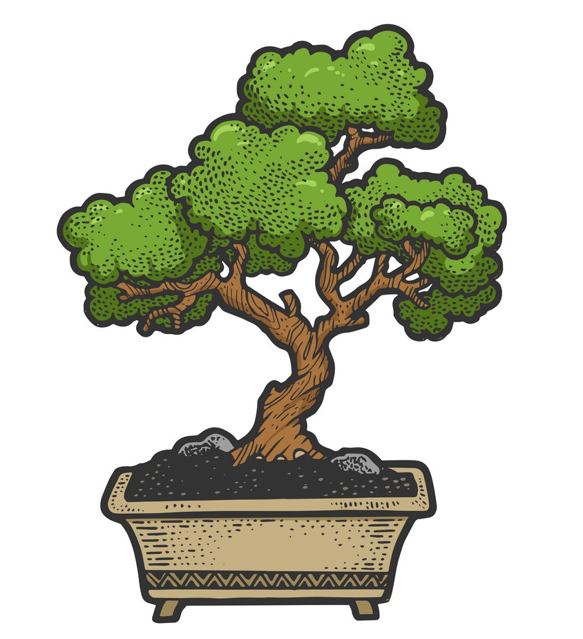 bonsai tree sketch engraving