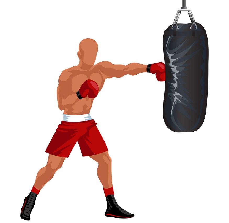boxer punching bag