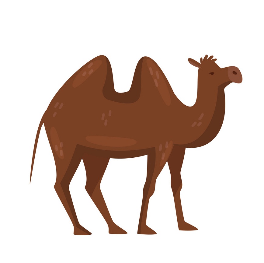brown camel flat design