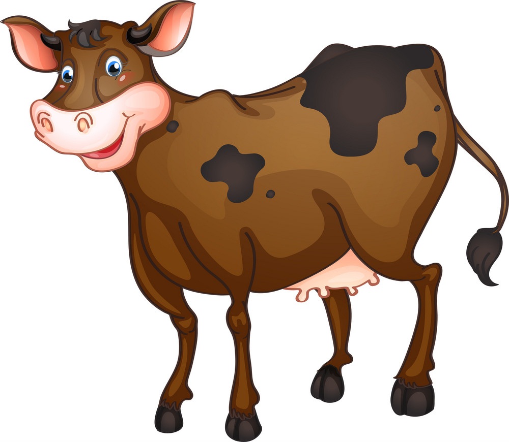 brown cow smiling