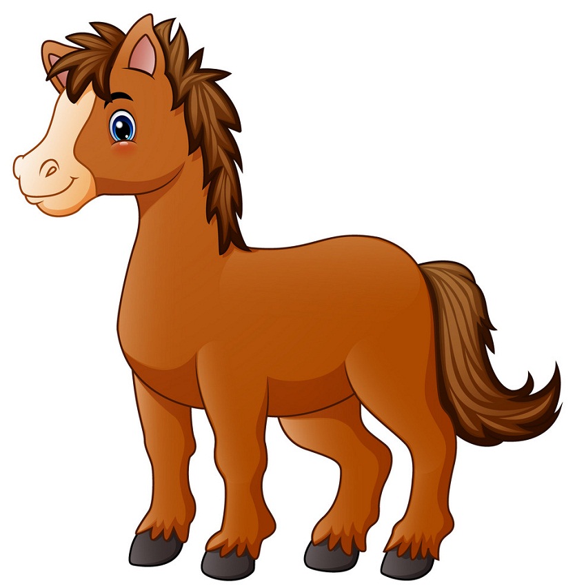 brown pony horse