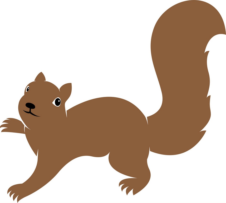 brown squirrel flat design