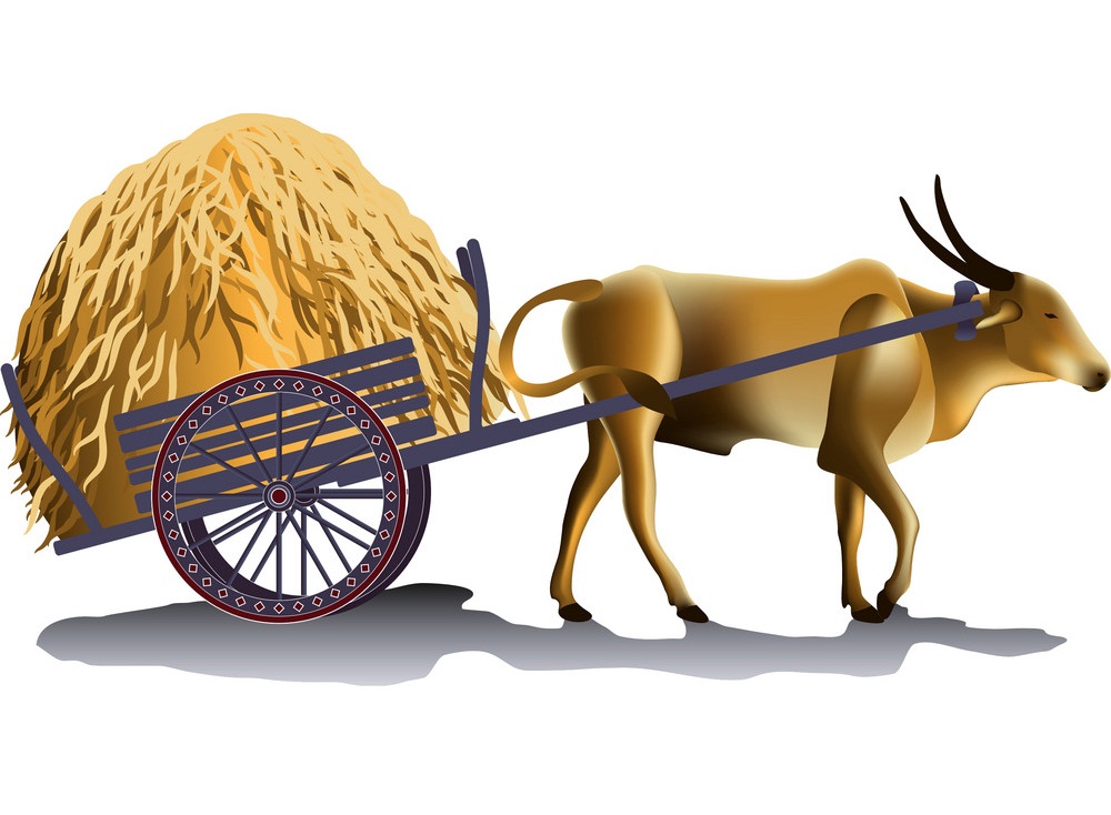 buffalo cart