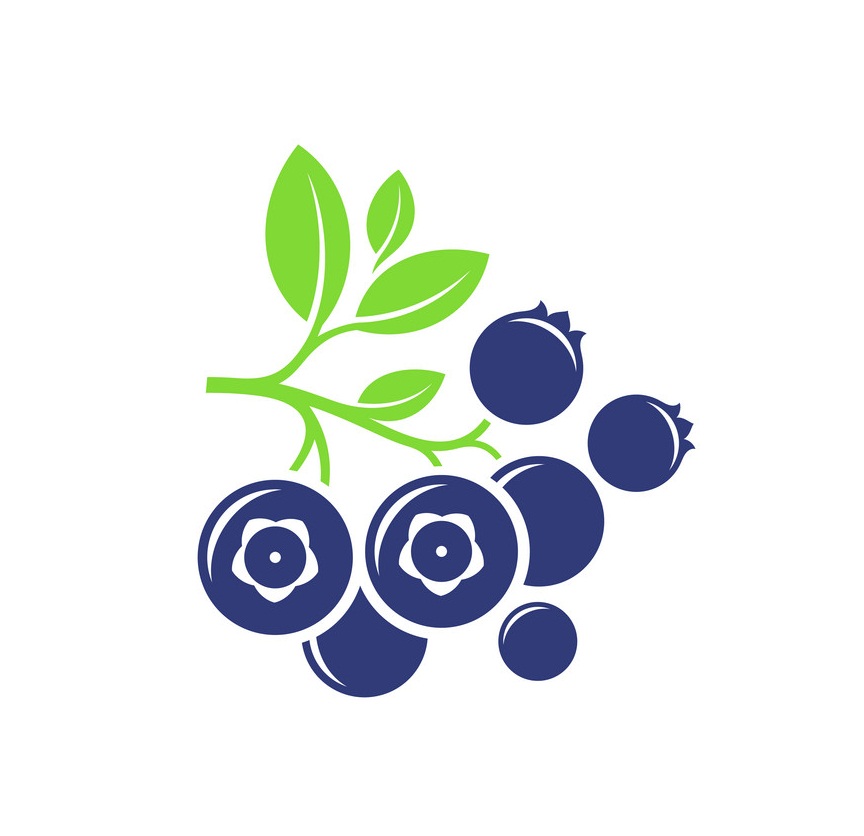 bunch of blueberry icon